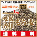 ★TVで話題のダイエットで注目!希少な愛...