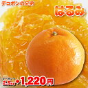 はるみクーポンで1,220円!デコポンの兄弟!大注目のはるみ...