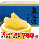 本日10%以上OFF!夏文旦・河内晩柑9...