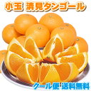 貯蔵蔵出⇒小玉クール 清見タンゴール オレンジ 5kg★大人...