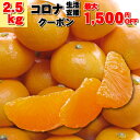 ★クール ハウスみかん たっぷり2,5kg 送料無料・やっぱ...