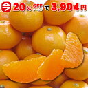 ★本日20%OFFクーポンで976円OFF!クール ハウスみ...
