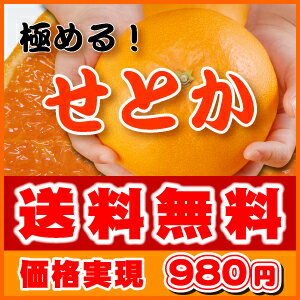 最安値に挑戦！月間MVP受賞・極める！せとか1注文でも送料無料・2箱以上注文で超大増量サービス付美味しいこと、間違いなしのせとかを極める！みかん