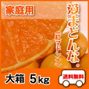 ★ぜひぜひ今クーポン付⇒3kgじゃないよ！大箱5kgで赤字覚悟！！！【送料無料】今マスコミで話題の！紅まどんな（紅マドンナ）大箱5kg（家庭用）