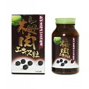 梅肉エキス粒紀州産梅肉100%使用 400粒