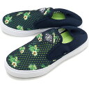 【40%OFF】【在庫限り】DC SHOES ディーシーシュ...