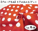 【1m単位】【ブロード生地】大きめ赤水玉/ドット【楽天週間ランキング入賞】【ブロード生地】大きめ赤水玉/ドット【楽天 週間ランキング入賞】【送料無料】発表会の衣装づくりにも♪コンサート 忘年会 新年会 学園祭 文化祭 アイドル衣装 ミニーちゃん風