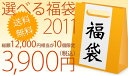 先着10名様限定！新春先取り/2011年選べる福袋♪町のミシン工房が自信をもってお送りする選べる超得福袋☆総額最大12000円相当が3900円に！エプロン・収納アイテム・リビングアイテム・キッチンアイテム・ポーチをから各1点