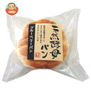 【送料無料】【2ケースセット】天然酵母パン ブルーベリーパン...