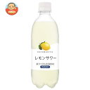 寿屋清涼食品 レモンサワー 500mlペットボトル×24本入×(2ケース)| 送料無料 炭酸飲料 ソーダ レモン 割り材 PET
