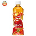 【32%OFF】期間限定特価サントリー リプトン アップルティー500mlPET×24本入