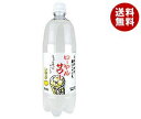 【7月26日(金)1時59まで全品対象 最大200円OFFクーポン発行中】【送料無料】【2ケースセット】木村飲料 ローヤルサワー レモン 1000mlペットボトル×12本入×(2ケース) ※北海道・沖縄・離島は別途送料が必要。
