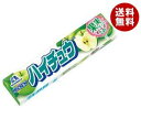 【送料無料】【2ケースセット】森永製菓 ハイチュウ グリーンアップル 12粒×12個入×(2ケース) ※北海道・沖縄・離島は別途送料が必要。