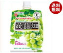 【送料無料】【2ケースセット】マンナンライフ クラッシュタイ...