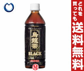 【送料無料・2ケースセット】サッポロ 烏龍茶BLACK500mlPET×24本入×（2ケース）