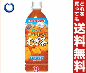 【送料無料・2ケースセット】伊藤園 健康ミネラルむぎ茶600mlPET×24本入×（2ケース）