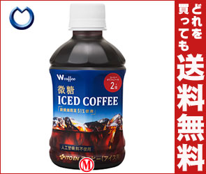 【送料無料・2ケースセット】伊藤園 W coffee 微糖 ICED COFFEE(アイスコーヒー)280mlPET×24本入×（2ケース）