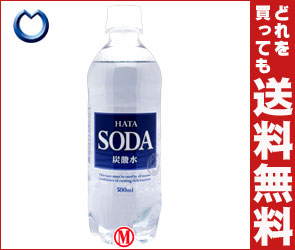 【送料無料】ハタ鉱泉 SODA(ソーダ) 炭酸水500mlPET×24本入