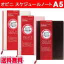 【即納】　シャチハタ　オピニ　スケジュールノート　A5(手帳)・2013年版　　opini　条件付【送料無料】　バーチカルタイプ　【smtb-td】【nk_fs_0629】