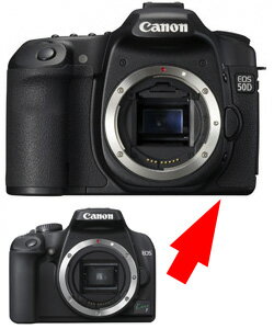 [3Nیt]yCanon EOS Kiss FEOS 50DփO[hAb..