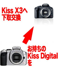 [3Nیt]yKiss DigitalX3֔ւzLm EOS..