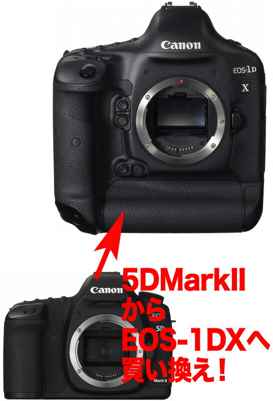 [3年保険付]キヤノン EOS 5DMarkII→ EOS-1DX デジタル一眼レフボディーグレードアッププラン JAN:4960999819846[02P28Oct13]fs3gm