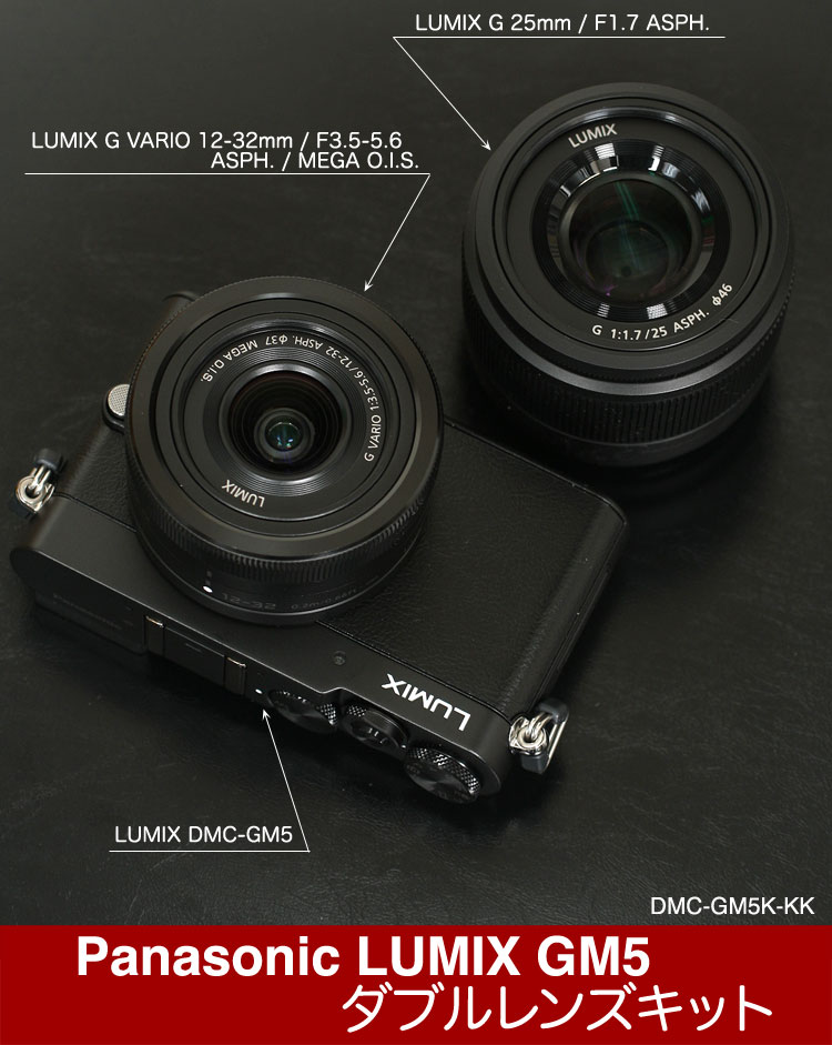 [液晶フィルム付] Panasonic LUMIX DMC-GM5K-KK ダブルレンズキ…...:mitsuba:10013130