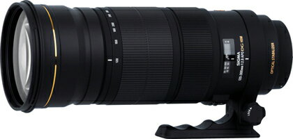 SIGMA APO 120-300mm F2.8 EX DG OS HSM『3~4営業日後の発送』マクロレンズ並みに拡大可能な大口径F2.8 300mm手ブレ補正機能付き望遠ズームレンズ【facebookいいね！でポイント5倍!!】【参加店舗限定！2コーナーでポイント5倍!!】_【2sp_120810_ blue】