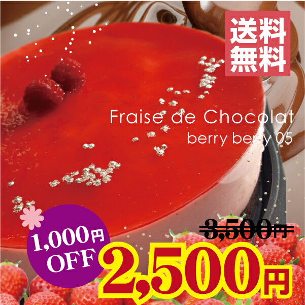 \2017春の新作/スーパーSALE期間中1,000円OFF送料無料 2〜3人前 フレーズ・ドゥ・ショコラベリー・ベリー053月限定 ランキングお取り寄せ