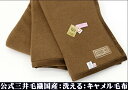 【クイーンサイズ】日本製 洗える キャメル毛布 (毛羽部) 【クイーンサイズ】210x210cm J