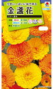 金せん花種スター混合(5ml)