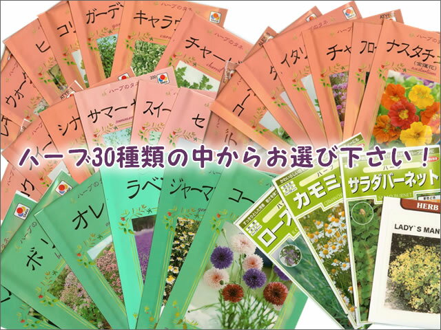 【送料無料】30種類の中から、6種類選べるハーブ種【メール便でのお届けです。】