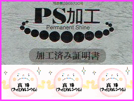 p[lbNXPSHi^̔𖖉iۂIj