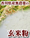 玄米粉 1kg 農薬完全不使用、自然栽培で育てられた四国香川県の玄米粉 もっちり感はお菓子作りにも大好評!グルテンを含んでいないので小麦アレルギーの方でも安心♪ マクロビオティック食品【宅配便配送】国産農薬完全不使用