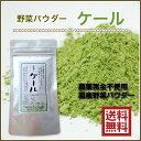 【送料無料】野菜パウダー「ケール」50g 農薬完全不使用、自然栽培で育てられた元気野菜パウダー 野菜不足や野菜嫌いの方に! 【メール便(DM便)OK】【smtb-KD】国産農薬完全不使用