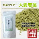 【送料無料】野菜パウダー「大麦若葉」50g 農薬完全不使用、自然栽培で育てられた元気野菜パウダー 緑の血液「葉緑素」クロロフィル☆SOD酵素が健康や美容にとって有効! 【メール便(ネコポス)OK】【smtb-KD】国産農薬完全不使用