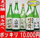 1万円ポッキリ！夢の大吟醸福袋飲み比べ福袋　20％OFF　送料無料！母の日　お花見1万円ポッキリ！夢の大吟醸福袋飲み比べ福袋　20％OFF　送料無料！