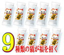 約150匹の猫が福を招く♪開運！招き猫チョコ500g 10％OFF【2012　お中元】【サマーギフト】【RCPmara1207】