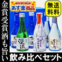 送料無料！飲みきりサイズ！店長厳選！激ウマ6本飲み比べセット（300ml×6本）10％OFFfs3gm