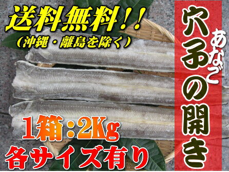 冷凍アナゴ開き2kg（Mサイズ8〜10枚位）【穴子・あなご】【北海道・本州・四国・九州は送…...:miura-suisan:10000054