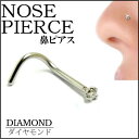 ダイヤモンド(PK6/1.3mm)ノーズスクリュー 20G ...