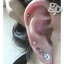 柑橘さんの耳のボディピアス写真☆14金ホワイトゴールドジュエルスタッドピアス(8mm)(GG)(M)