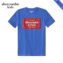 AoNLbY TVc {[CY q Ki AbercrombieKids TVc N[lbN STVc logo tech tee 223-616-0180-025