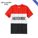 AoNLbY TVc {[CY q Ki AbercrombieKids TVc N[lbNTVc colorblock logo tee 223-619-0124-050 hV̓ v[g