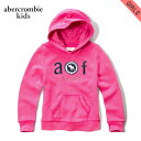 AoNLbY p[J[ K[Y q Ki AbercrombieKids applique logo graphic hoodie 252-767-0237-060 D00S20