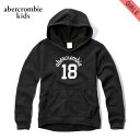 AoNLbY p[J[ K[Y q Ki AbercrombieKids shine applique logo graphic hoodie 252-771-0316-091 D00S20