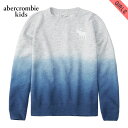 AoNLbY XEFbg K[Y q Ki AbercrombieKids g[i[ g[i[ easy icon crew sweatshirt 252-772-0075-012