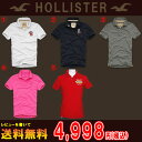 ホリスター HOLLISTER 正規品 メンズ ポロシャツ TEE SHIRT 10P31Aug14