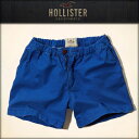 ホリスター HOLLISTER 正規品 メンズ ショートパンツ Chill Fit Shorts MID THIGH 328-281-0364-022 10P11Mar16 10P26Mar16
