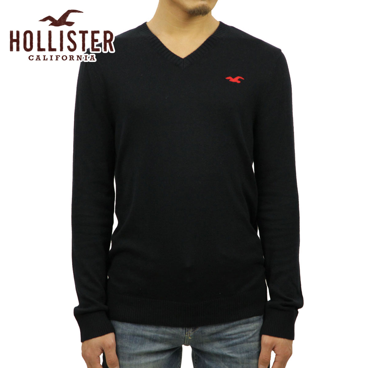 zX^[ Z[^[ Y Ki HOLLISTER Iconic V-Neck Sweater 320-201-0295-200 D00S20